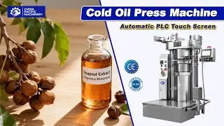Xanthoceras Sorbifolium Bunge Oil Extraction|Cold Oil Press Machine|Hydraulic Seed Oil Press Machine