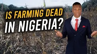 Nigerian Farming: A SCAM? | ECO HARVEST FARM CITY ESTATE, ABEOKUTA, OGUN STATE