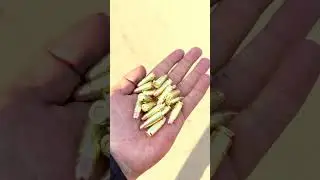 Italian Dual Trigger Antique #italian #pistols #youtubeshorts #shorts #shortvideo #dual #trigger #47