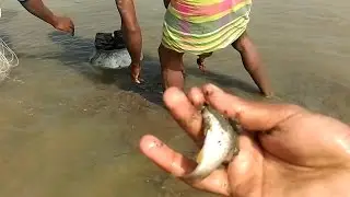 Awesome Traditional free hand fishing &ndash; Fishing south Asia