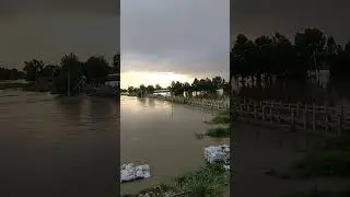 latest flood situation satluj river fazilka