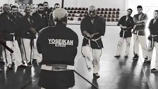 Yoseikan Budo DZ