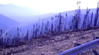 Road To Pogo Mine