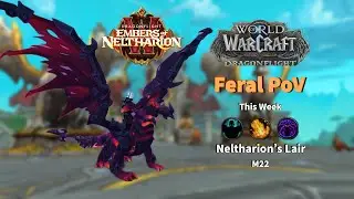 More Augmentation PLS!! - M22 Neltharion's Lair - Feral Druid PoV - 10.1.5