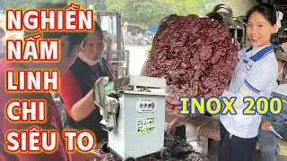 THỬ TH&Aacute;CH Nghiền nấm linh chi - B&Agrave;N GIAO M&aacute;y Nghiền Bột Si&ecirc;u Mịn Inox 200 B&igrave;nh Qu&acirc;n