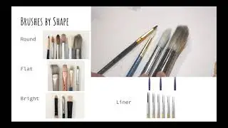 Beginner's Brush Guide