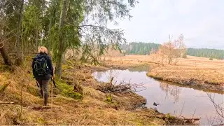 RELAXING WALK WHILE GEOCACHING PART 2 #relaxingwalk #walking #geocaching
