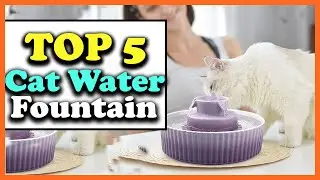 ✅Top 5 Best Cat Water Fountains of 2025