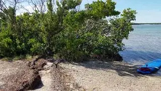 Where to Kayak Paddle Board in Florida Keys? End of Niles Road on Summerland Key