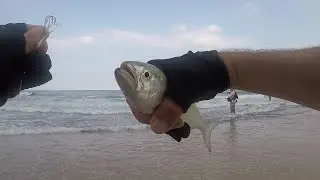 Compilation  | Fishing Spinning Shore Jigging & Bombarda [Eclipse / Yamaga Blanks] (2016/2017)