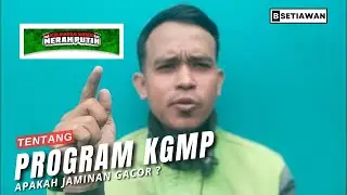 TENTANG PROGRAM KGMP APAKAH AKUN JADI JAMINAN GACOR ?