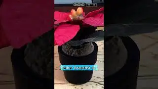 ⏳Mach mal langsam: Zeitlupenvideos auf dem iPhone aufnehmen  #iphone #slowmo