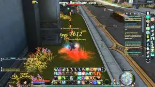 Aion Swordman урок4 (Вивинг и понты)