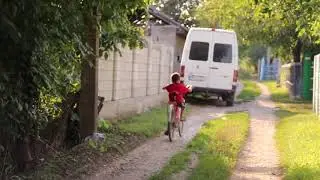 Cireada de vaci  (Colicauti)