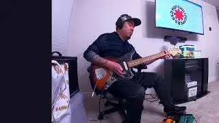 Don't forget me live at Slane castle - Guitar cover
