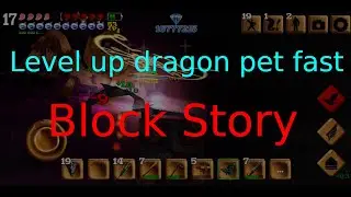 How to Level Up Dragon pet quickly? | Block Story