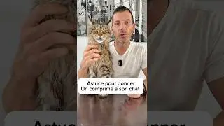 Donner un m&eacute;dicament a son chat facilement avec cette astuce! #chat #cat