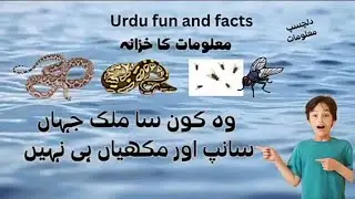 GKInUrdu | UrduKnowledge | WorldFacts | QuizTime | InterestingFacts |ViralFacts |AnimalFacts |Shorts