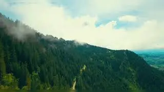 Jungle, Forest & Hills | Aerial View | Drone Shot | Free To Use Video | Creative Common