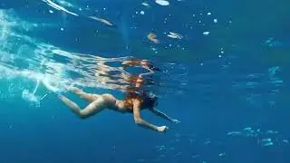 Skyline Echo | Melodic Chill & Deep House Escape ☁️