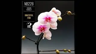 Shawn Forrest - Grateful For (Original Mix)