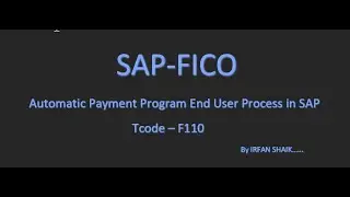 Automatic Payment Program RUN - F110