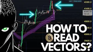 BITCOIN: How To Read Vectors?