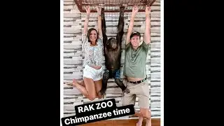 Rak Zoo / Chimpanzee Encounter / Zabawa z Szympansami / Emiraty Arabskie