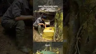Build a warm shelter inside a giant ancient tree. #nature #camping #woldwide #foryou #viral #shelter