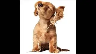 [free] fakemink type beat 