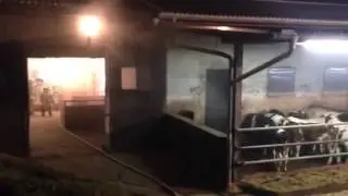 Stallbrand in Waldenburg