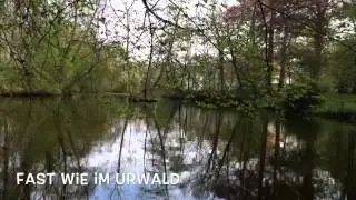 Parkteich in Zschortau 2015 Fr&uuml;hling, Musik Placebo