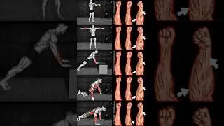 Powerful Hand Exercises 💪 #power #hand #exercise #shorts