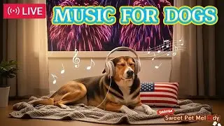 LIVE 24/7: Music Therapy for Calming Dogs Scared of Fireworks 🎶 | Firework Anxiety Relief Music