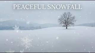 2 Hours of Snowfall ❄️ Soft Winter Wind Sounds for Sleep, Study & Relaxation