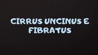 CIRRUS UNCINUS y FIBRATUS. Nubes en time lapse.