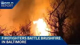 Crew Battle Brushfire In Baltimore | Tsunami Warning Cancelled For U.S. West Coast| The World Report