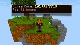 Можно ли заработать 100 миллионов за 24 часа на новом профиле? (Hypixel Skyblock)