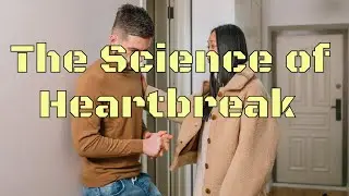 Why Do Breakups Hurt So Much The Science of Heartbreak