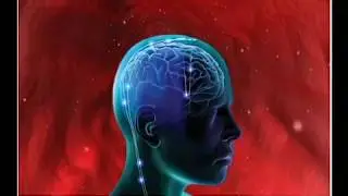 Brain Health ~ Lithia Spring Water