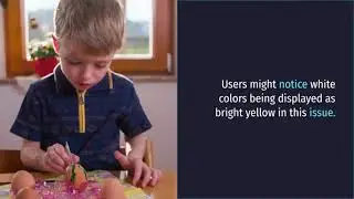 Windows 11 users facing color rendering issues in certain application