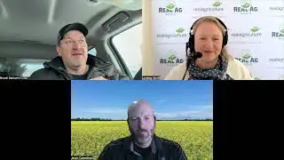 Manitoba to host pilot canola Yield Enhancement Network (YEN)