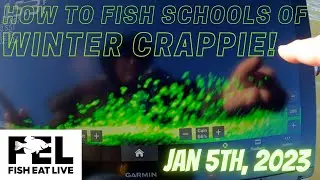 How to Fish Schools of WInter Crappie Fish Eat Live