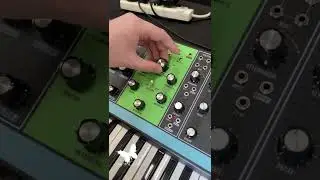 Moog Synths at synthCube