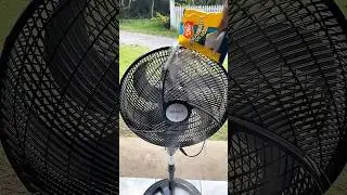 You've been cleaning your fan the wrong way your whole life and didn't even know it! 😱