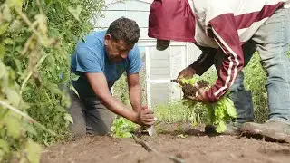 Wisconsin Life | Farmer brings a taste of Mexico to the fields of Verona
