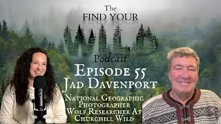 Wolves Hunting Polar Bears, Citizen Science Study, Being A Nat Geo Photographer With Jad Davenport