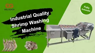 Industrial Automatic Shrimp Washing Machine/ Customized Industrial Washer for Vegetable and Fruit