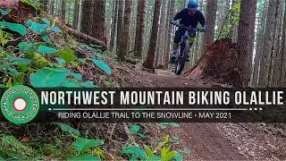 Northwest Mountain Biking Ollalie Trail to the Snowline // May 2021