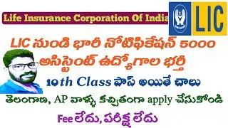 LIC assistant recruitment 2020-2021 telugu | lic notification 2020-2021 | lic recruitment 2020-2021
